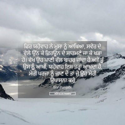 Picture 05 - ਖ਼ਰੋਜ 8:20 PANIRV - ਫਿਰ ਯਹੋਵਾਹ ਨੇ ਮੂਸਾ - Bible Verse Picture