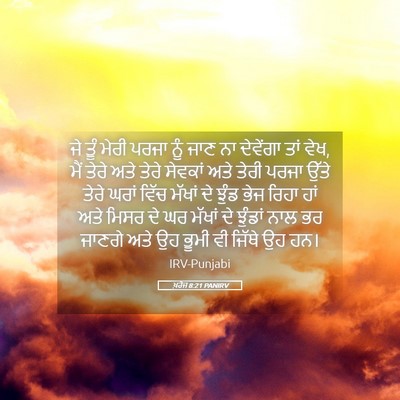 Picture 05 - ਖ਼ਰੋਜ 8:21 PANIRV - ਜੇ ਤੂੰ ਮੇਰੀ ਪਰਜਾ - Bible Verse Picture