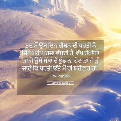 Picture 05 - ਖ਼ਰੋਜ 8:22 PANIRV - ਤਦ ਮੈਂ ਉਸ ਦਿਨ ਗੋਸ਼ਨ - Bible Verse Picture
