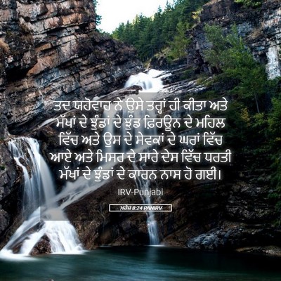 Picture 05 - ਖ਼ਰੋਜ 8:24 PANIRV - ਤਦ ਯਹੋਵਾਹ ਨੇ ਉਸੇ - Bible Verse Picture