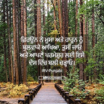 Picture 05 - ਖ਼ਰੋਜ 8:25 PANIRV - ਫ਼ਿਰਊਨ ਨੇ ਮੂਸਾ ਅਤੇ - Bible Verse Picture