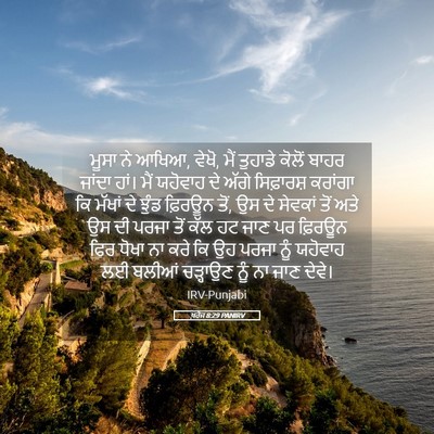 Picture 05 - ਖ਼ਰੋਜ 8:29 PANIRV - ਮੂਸਾ ਨੇ ਆਖਿਆ, ਵੇਖੋ, - Bible Verse Picture