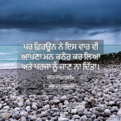 Picture 05 - ਖ਼ਰੋਜ 8:32 PANIRV - ਪਰ ਫ਼ਿਰਊਨ ਨੇ ਇਸ ਵਾਰ - Bible Verse Picture