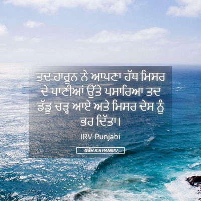 Picture 05 - ਖ਼ਰੋਜ 8:6 PANIRV - ਤਦ ਹਾਰੂਨ ਨੇ ਆਪਣਾ - Bible Verse Picture