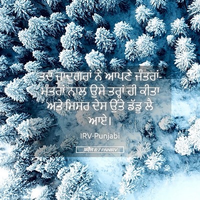 Picture 05 - ਖ਼ਰੋਜ 8:7 PANIRV - ਤਦ ਜਾਦੂਗਰਾਂ ਨੇ - Bible Verse Picture