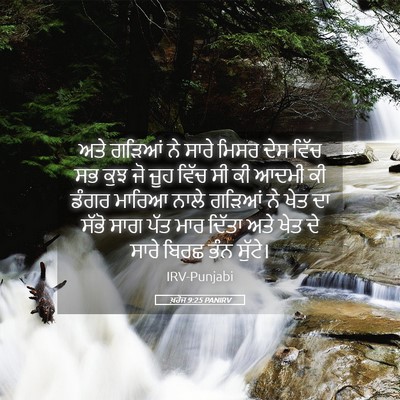 Picture 05 - ਖ਼ਰੋਜ 9:25 PANIRV - ਅਤੇ ਗੜਿਆਂ ਨੇ ਸਾਰੇ - Bible Verse Picture