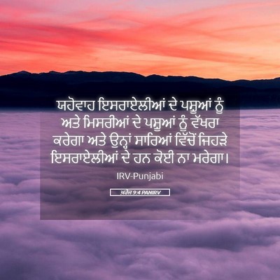 Picture 05 - ਖ਼ਰੋਜ 9:4 PANIRV - ਯਹੋਵਾਹ ਇਸਰਾਏਲੀਆਂ - Bible Verse Picture