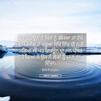 Picture 05 - ਖ਼ਰੋਜ 9:7 PANIRV - ਫੇਰ ਫ਼ਿਰਊਨ ਨੇ ਕਿਸੇ - Bible Verse Picture