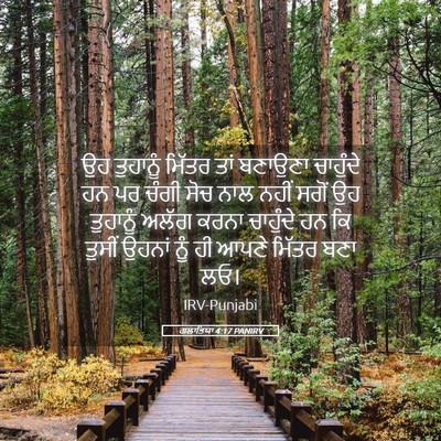 Picture 05 - ਗਲਾਤਿਯਾ 4:17 PANIRV - ਉਹ ਤੁਹਾਨੂੰ ਮਿੱਤਰ - Bible Verse Picture