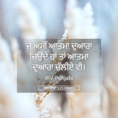 Picture 05 - ਗਲਾਤਿਯਾ 5:25 PANIRV - ਜੇ ਅਸੀਂ ਆਤਮਾ ਦੁਆਰਾ - Bible Verse Picture