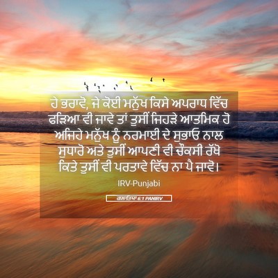 Picture 05 - ਗਲਾਤਿਯਾ 6:1 PANIRV - ਹੇ ਭਰਾਵੋ, ਜੇ ਕੋਈ - Bible Verse Picture