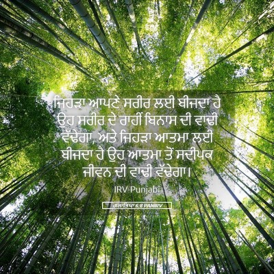 Picture 05 - ਗਲਾਤਿਯਾ 6:8 PANIRV - ਜਿਹੜਾ ਆਪਣੇ ਸਰੀਰ ਲਈ - Bible Verse Picture