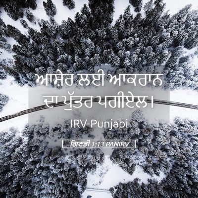 Picture 05 - ਗਿਣਤੀ 1:13 PANIRV - ਆਸ਼ੇਰ ਲਈ ਆਕਰਾਨ ਦਾ - Bible Verse Picture