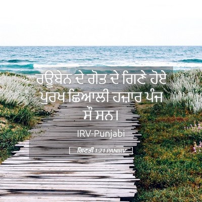 Picture 05 - ਗਿਣਤੀ 1:21 PANIRV - ਰਊਬੇਨ ਦੇ ਗੋਤ ਦੇ - Bible Verse Picture