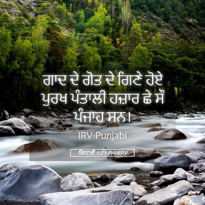 Picture 05 - ਗਿਣਤੀ 1:25 PANIRV - ਗਾਦ ਦੇ ਗੋਤ ਦੇ ਗਿਣੇ - Bible Verse Picture