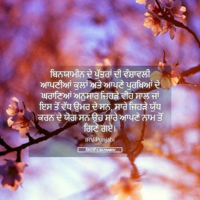 Picture 05 - ਗਿਣਤੀ 1:36 PANIRV - ਬਿਨਯਾਮੀਨ ਦੇ - Bible Verse Picture