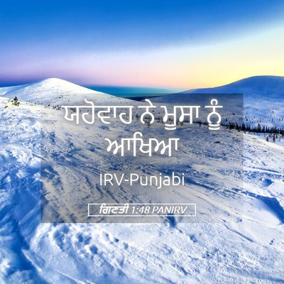 Picture 05 - ਗਿਣਤੀ 1:48 PANIRV - ਯਹੋਵਾਹ ਨੇ ਮੂਸਾ ਨੂੰ - Bible Verse Picture