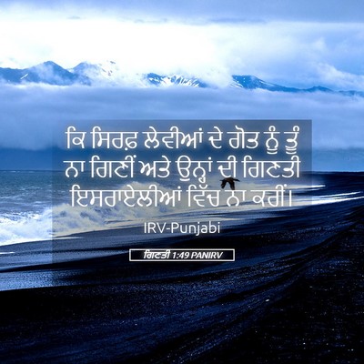Picture 05 - ਗਿਣਤੀ 1:49 PANIRV - ਕਿ ਸਿਰਫ਼ ਲੇਵੀਆਂ ਦੇ - Bible Verse Picture