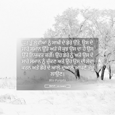 Picture 05 - ਗਿਣਤੀ 1:50 PANIRV - ਪਰ ਤੂੰ ਲੇਵੀਆਂ ਨੂੰ - Bible Verse Picture