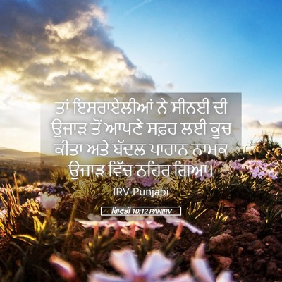 Picture 05 - ਗਿਣਤੀ 10:12 PANIRV - ਤਾਂ ਇਸਰਾਏਲੀਆਂ ਨੇ - Bible Verse Picture