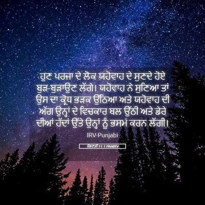 Picture 05 - ਗਿਣਤੀ 11:1 PANIRV - ਹੁਣ ਪਰਜਾ ਦੇ ਲੋਕ - Bible Verse Picture