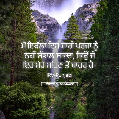 Picture 05 - ਗਿਣਤੀ 11:14 PANIRV - ਮੈਂ ਇਕੱਲਾ ਇਸ ਸਾਰੀ - Bible Verse Picture