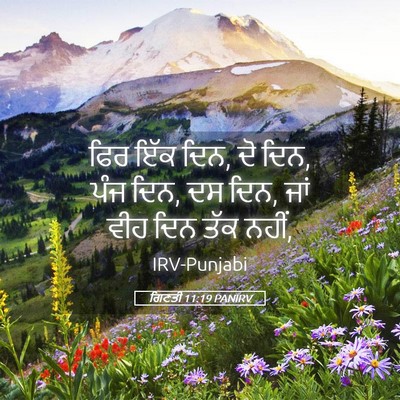 Picture 05 - ਗਿਣਤੀ 11:19 PANIRV - ਫਿਰ ਇੱਕ ਦਿਨ, ਦੋ ਦਿਨ, - Bible Verse Picture