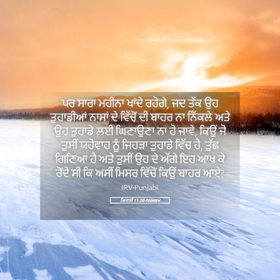Picture 05 - ਗਿਣਤੀ 11:20 PANIRV - ਪਰ ਸਾਰਾ ਮਹੀਨਾ - Bible Verse Picture