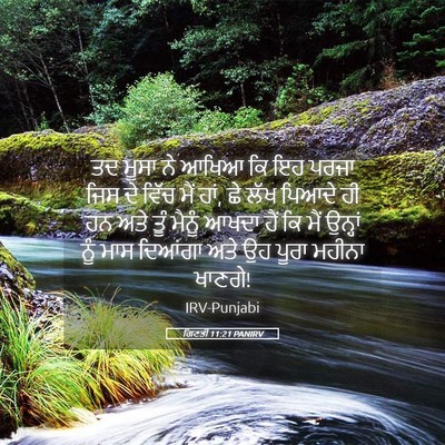 Picture 05 - ਗਿਣਤੀ 11:21 PANIRV - ਤਦ ਮੂਸਾ ਨੇ ਆਖਿਆ ਕਿ - Bible Verse Picture