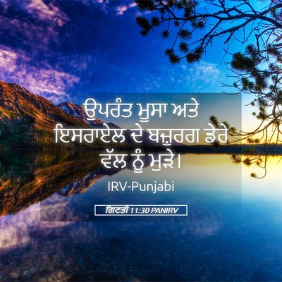 Picture 05 - ਗਿਣਤੀ 11:30 PANIRV - ਉਪਰੰਤ ਮੂਸਾ ਅਤੇ - Bible Verse Picture
