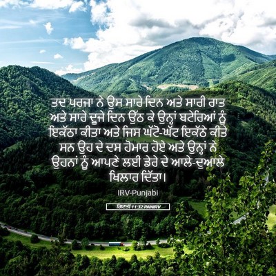 Picture 05 - ਗਿਣਤੀ 11:32 PANIRV - ਤਦ ਪਰਜਾ ਨੇ ਉਸ ਸਾਰੇ - Bible Verse Picture