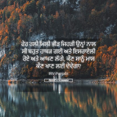 Picture 05 - ਗਿਣਤੀ 11:4 PANIRV - ਫੇਰ ਰਲੀ ਮਿਲੀ ਭੀੜ - Bible Verse Picture