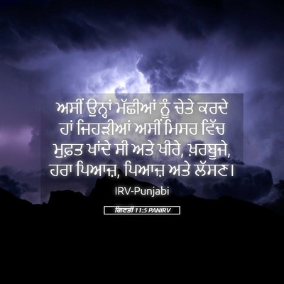 Picture 05 - ਗਿਣਤੀ 11:5 PANIRV - ਅਸੀਂ ਉਨ੍ਹਾਂ - Bible Verse Picture