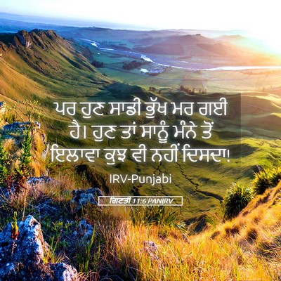 Picture 05 - ਗਿਣਤੀ 11:6 PANIRV - ਪਰ ਹੁਣ ਸਾਡੀ ਭੁੱਖ ਮਰ - Bible Verse Picture