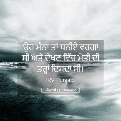 Picture 05 - ਗਿਣਤੀ 11:7 PANIRV - ਉਹ ਮੰਨਾ ਤਾਂ ਧਨੀਏ - Bible Verse Picture