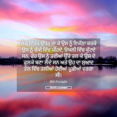 Picture 05 - ਗਿਣਤੀ 11:8 PANIRV - ਲੋਕ ਇੱਧਰ-ਉੱਧਰ ਜਾ ਕੇ - Bible Verse Picture