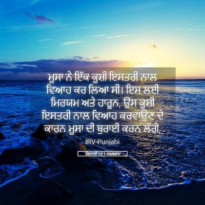 Picture 05 - ਗਿਣਤੀ 12:1 PANIRV - ਮੂਸਾ ਨੇ ਇੱਕ ਕੂਸ਼ੀ - Bible Verse Picture