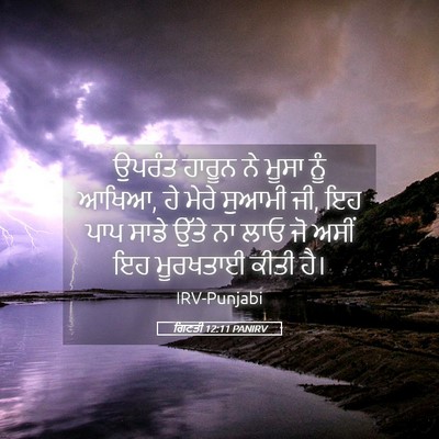Picture 05 - ਗਿਣਤੀ 12:11 PANIRV - ਉਪਰੰਤ ਹਾਰੂਨ ਨੇ - Bible Verse Picture