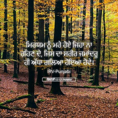 Picture 05 - ਗਿਣਤੀ 12:12 PANIRV - ਮਿਰਯਮ ਨੂੰ ਮਰੇ ਹੋਏ - Bible Verse Picture