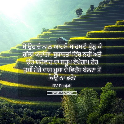 Picture 05 - ਗਿਣਤੀ 12:8 PANIRV - ਮੈਂ ਉਹ ਦੇ ਨਾਲ - Bible Verse Picture