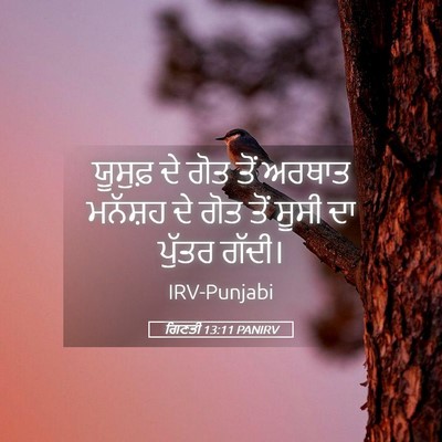 Picture 05 - ਗਿਣਤੀ 13:11 PANIRV - ਯੂਸੁਫ਼ ਦੇ ਗੋਤ ਤੋਂ - Bible Verse Picture