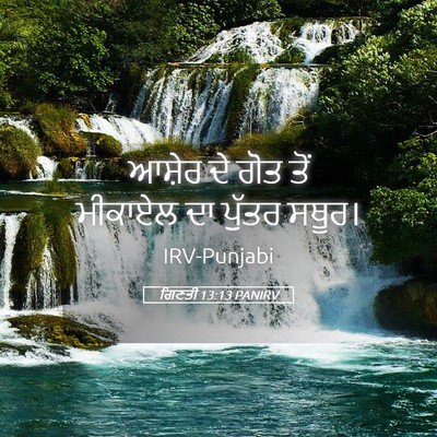 Picture 05 - ਗਿਣਤੀ 13:13 PANIRV - ਆਸ਼ੇਰ ਦੇ ਗੋਤ ਤੋਂ - Bible Verse Picture