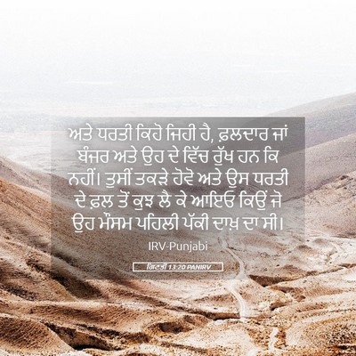 Picture 05 - ਗਿਣਤੀ 13:20 PANIRV - ਅਤੇ ਧਰਤੀ ਕਿਹੋ ਜਿਹੀ - Bible Verse Picture