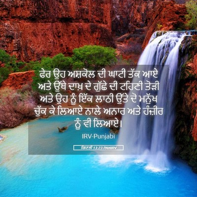 Picture 05 - ਗਿਣਤੀ 13:23 PANIRV - ਫੇਰ ਉਹ ਅਸ਼ਕੋਲ ਦੀ - Bible Verse Picture