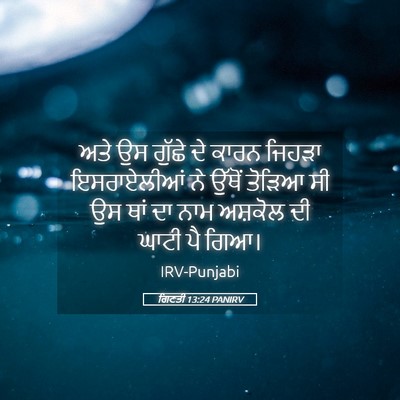 Picture 05 - ਗਿਣਤੀ 13:24 PANIRV - ਅਤੇ ਉਸ ਗੁੱਛੇ ਦੇ - Bible Verse Picture