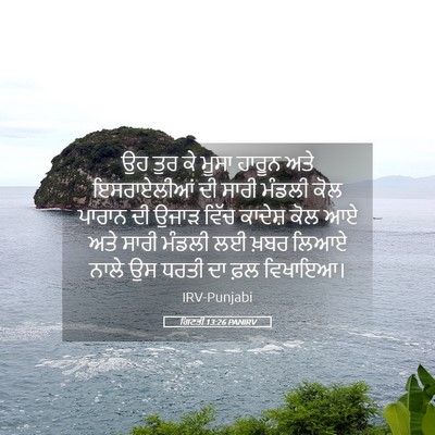 Picture 05 - ਗਿਣਤੀ 13:26 PANIRV - ਉਹ ਤੁਰ ਕੇ ਮੂਸਾ - Bible Verse Picture