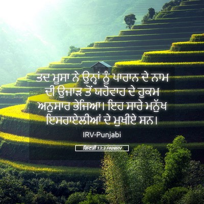 Picture 05 - ਗਿਣਤੀ 13:3 PANIRV - ਤਦ ਮੂਸਾ ਨੇ ਉਨ੍ਹਾਂ - Bible Verse Picture