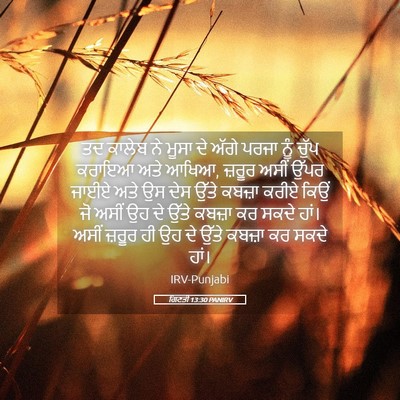 Picture 05 - ਗਿਣਤੀ 13:30 PANIRV - ਤਦ ਕਾਲੇਬ ਨੇ ਮੂਸਾ ਦੇ - Bible Verse Picture