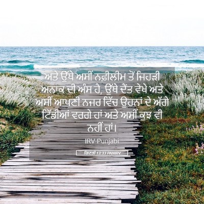 Picture 05 - ਗਿਣਤੀ 13:33 PANIRV - ਅਤੇ ਉੱਥੇ ਅਸੀਂ - Bible Verse Picture
