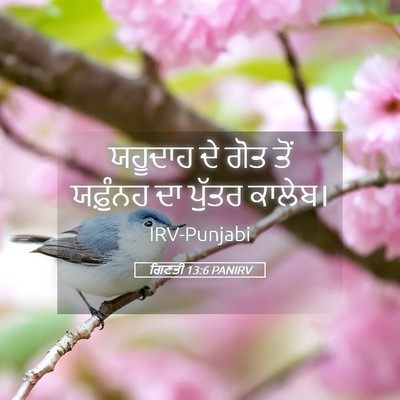 Picture 05 - ਗਿਣਤੀ 13:6 PANIRV - ਯਹੂਦਾਹ ਦੇ ਗੋਤ ਤੋਂ - Bible Verse Picture